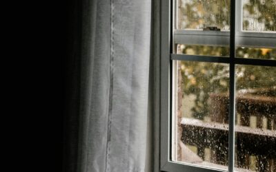 Why Mould Removal is Important for Your Home